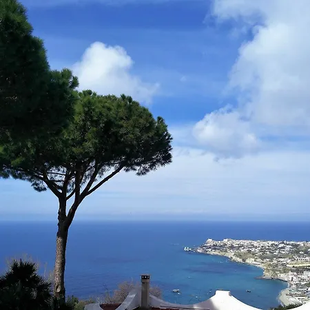 Villa Andrea Forio (Isola d'Ischia)